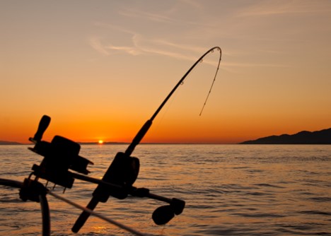 Sports Fishing