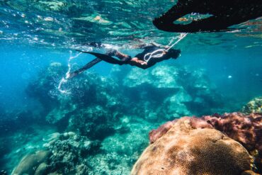 Underwater Paradise of Playa Tamarindo